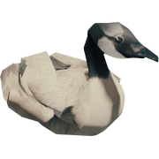 Goose