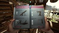 Survival Guide-Advanced Traps