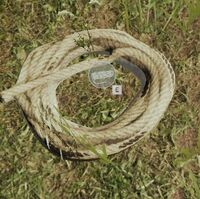 Rope The Forest Wiki Fandom