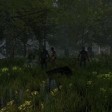 Mutants The Forest Wiki Fandom