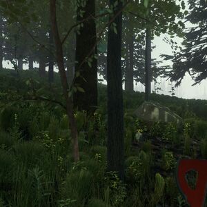 Sticks The Forest Wiki Fandom