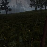 Sticks The Forest Wiki Fandom