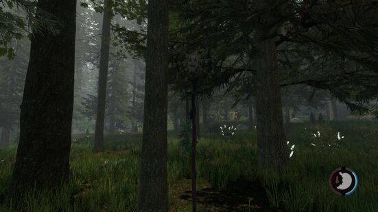 The forest befriending mutants book The forest befriending mutants book