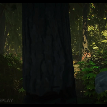 The Forest Wiki Fandom