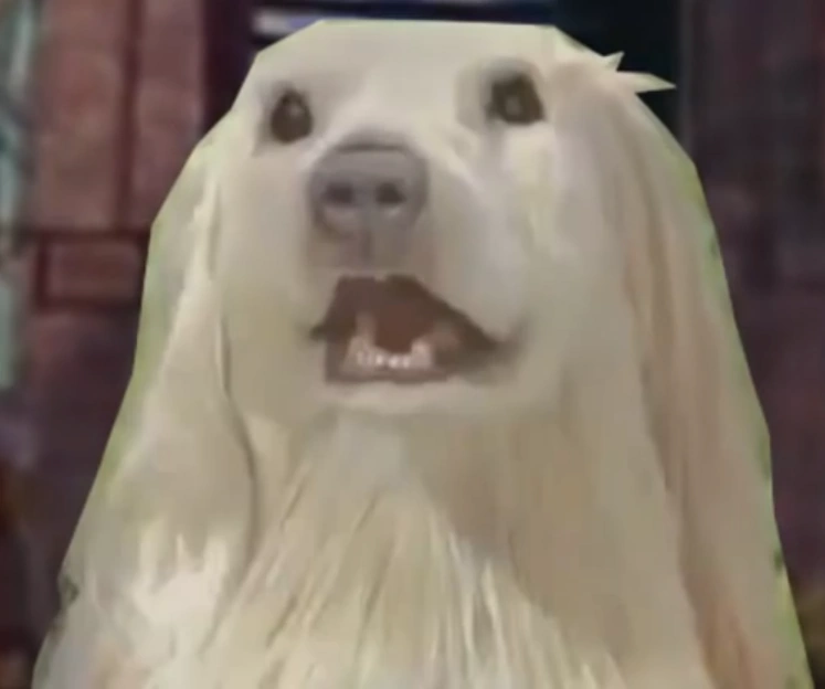 Consome Panchi The Frollo Show Wiki Fandom