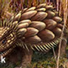 rattleback amazon