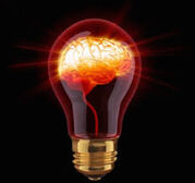 Brain-Light-Bulb-Creative-Genius