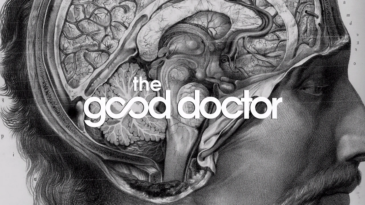The Good Doctor The Good Doctor Wiki FANDOM powered by Wikia