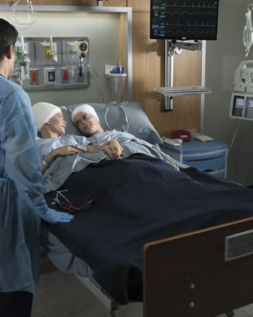 Islands Part Two The Good Doctor Wiki Fandom