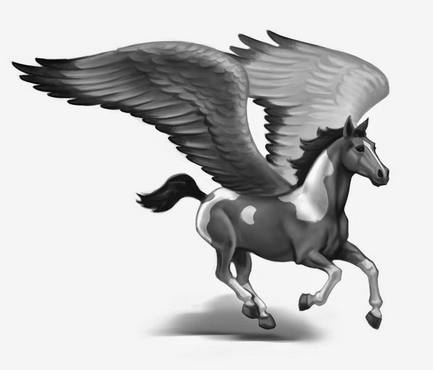 The Pegasi The Guardian Herd Wikia FANDOM powered by Wikia