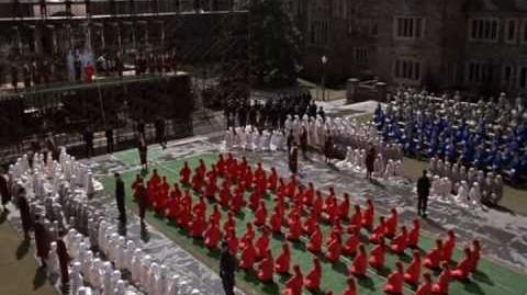 Video - The Handmaid's Tale - Salvaging Particicution ...