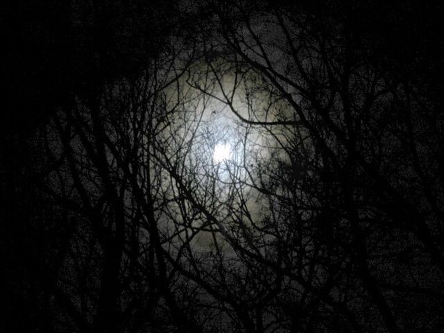 File:Darkness.jpg