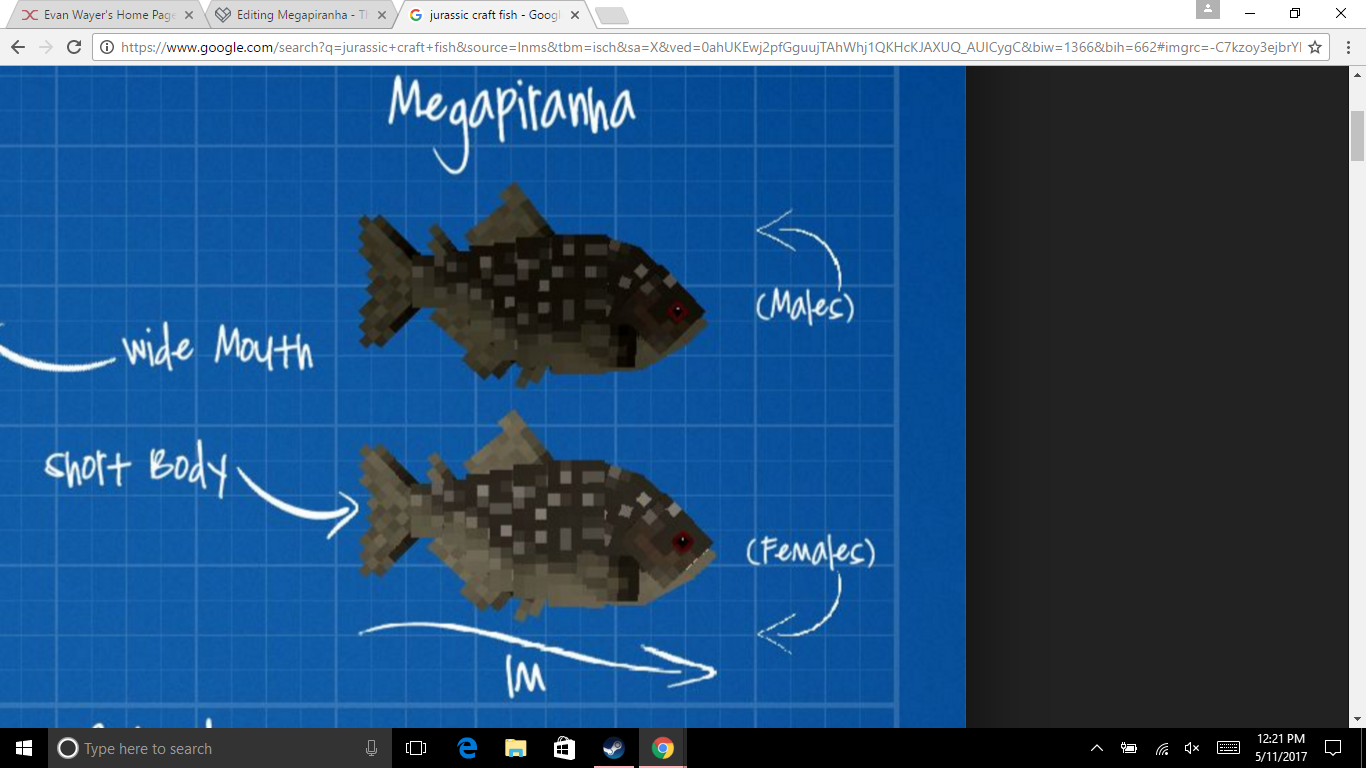 Megapiranha  The JurassiCraft Minecraft Mod Wiki  FANDOM 