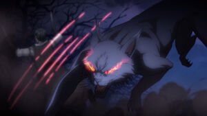 EnrangedPhantomMidnight