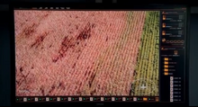 Red Rust
