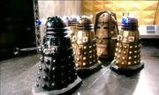 Thecultofskaro