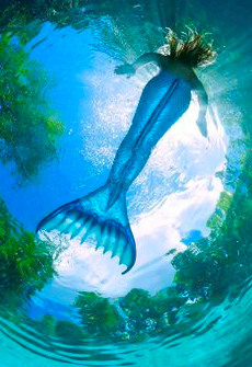 Mermaid