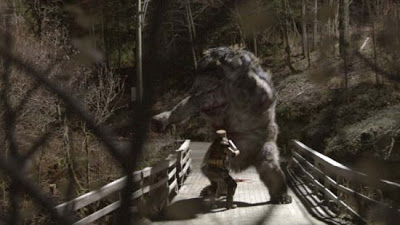 Troll attaque