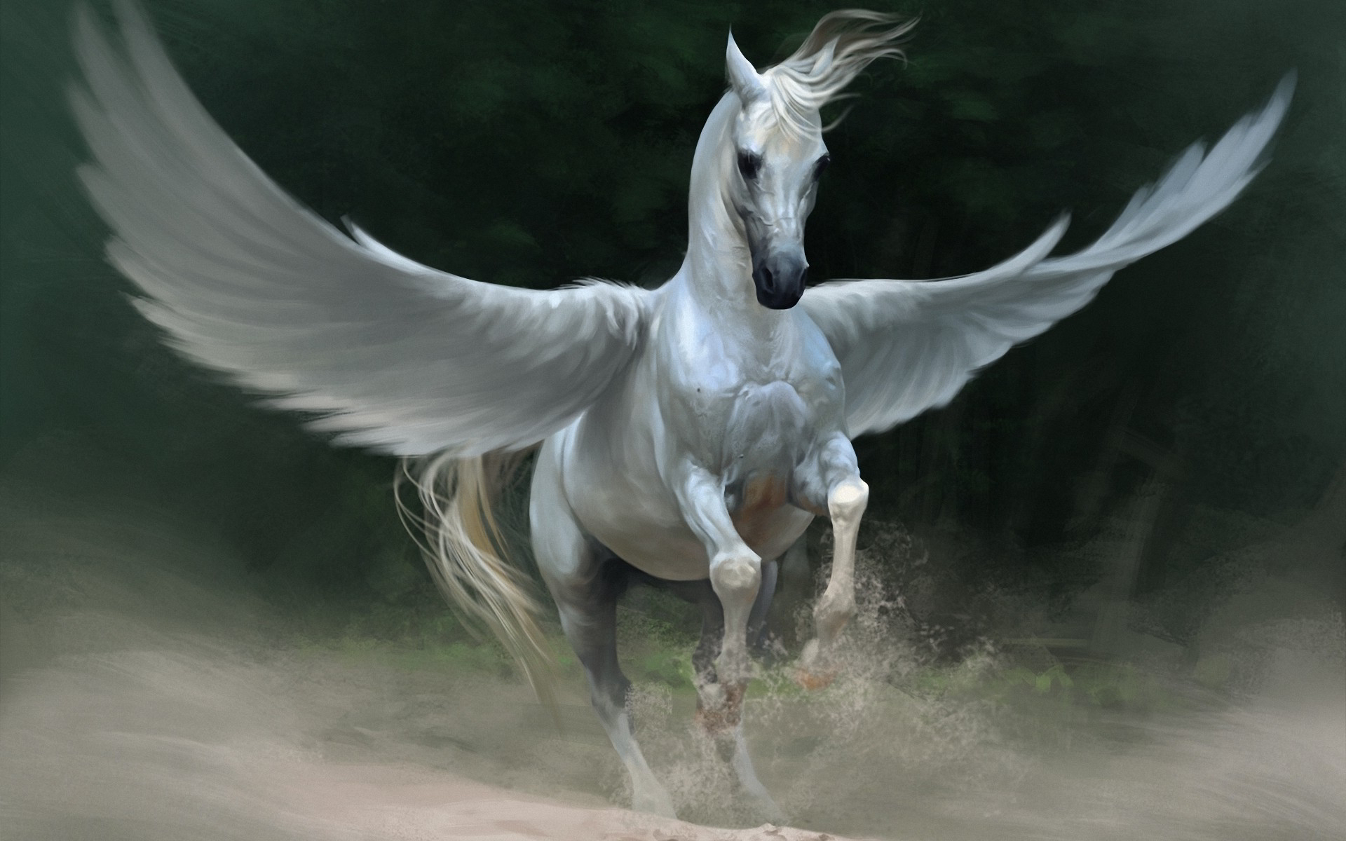 Pegasus | The Legendary Moonlight Sculptor Wiki | FANDOM powered by Wikia