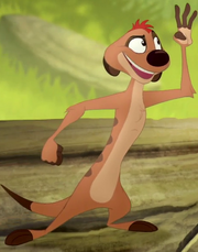 Timon