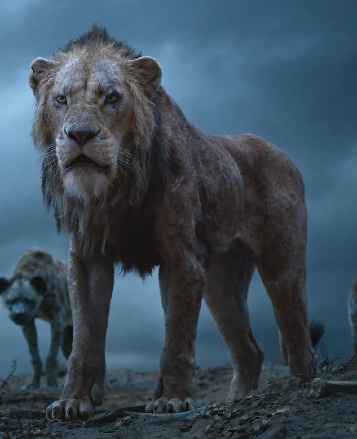 scar-the-lion-king-2019-film-wiki-fandom