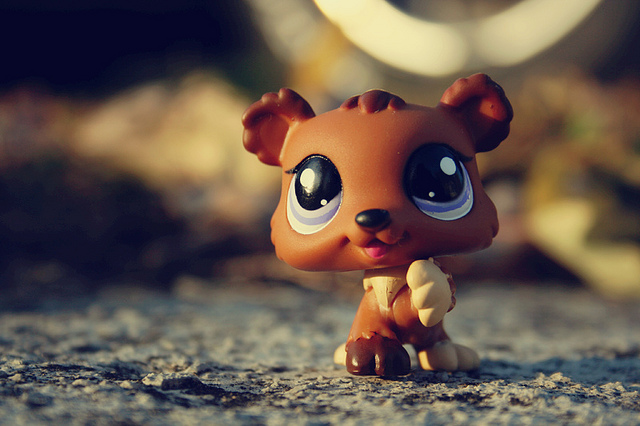 TCC Issue 2: Old vs. New Collectors | Littlest Pet Shop Collector's