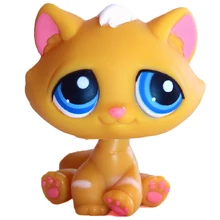 orange lps cat