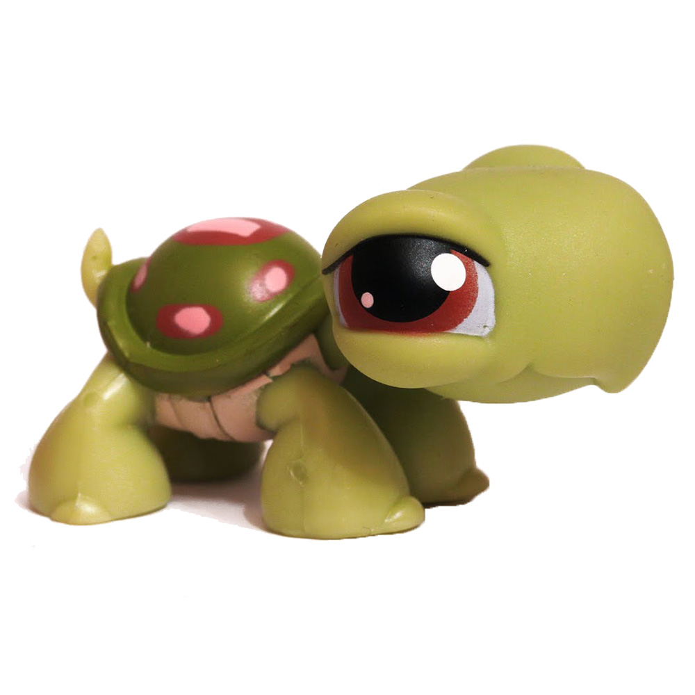 Turtle 007 Littlest Pet Shop Collector's Wiki FANDOM powered by Wikia