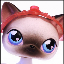 Shorthair Cat 005 Littlest Pet Shop Collector S Wiki Fandom