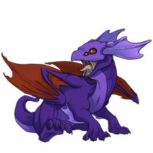 Anesia hatchling