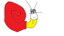 Brain the slug