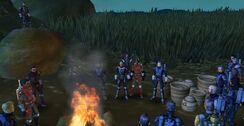 Guild