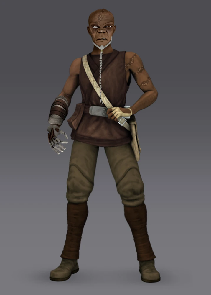 Image Star Wars Rebels Mace Windu (Fan Art).jpg The Mandalorian