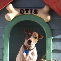Otis The Mask Wiki Fandom
