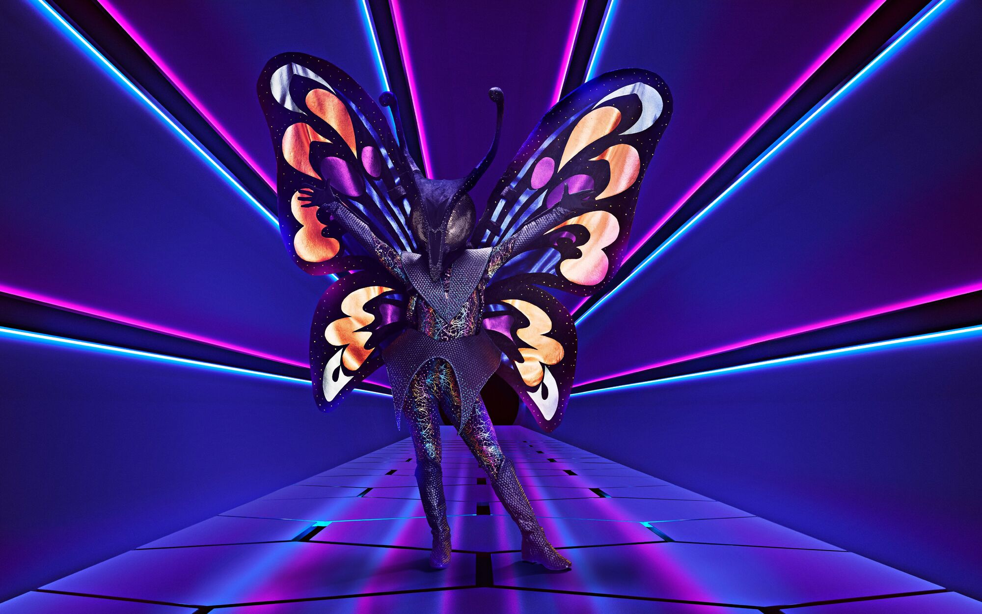 Butterfly (UK) | The Masked Singer Wiki | Fandom