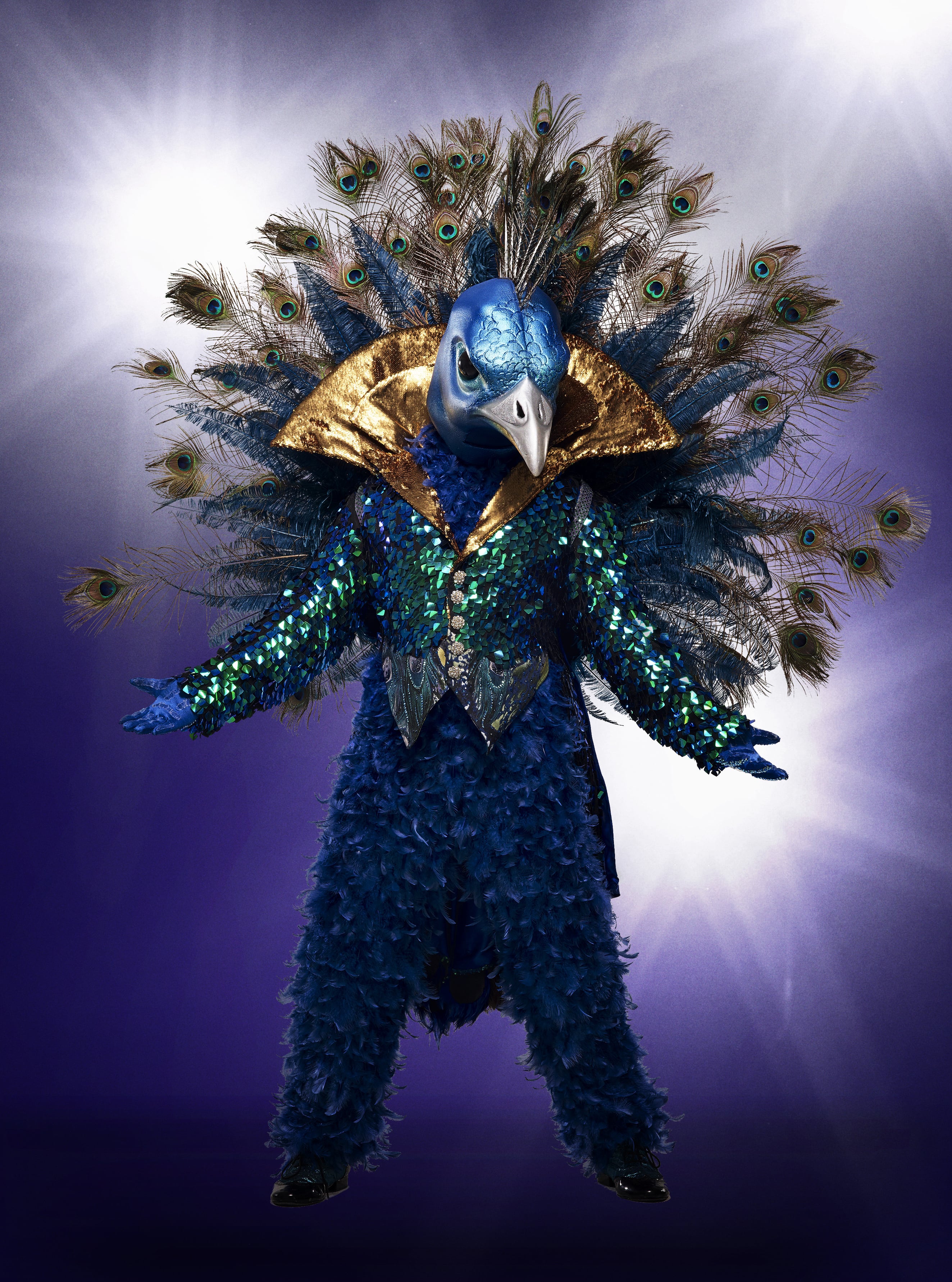 Peacock The Masked Singer Wiki Fandom