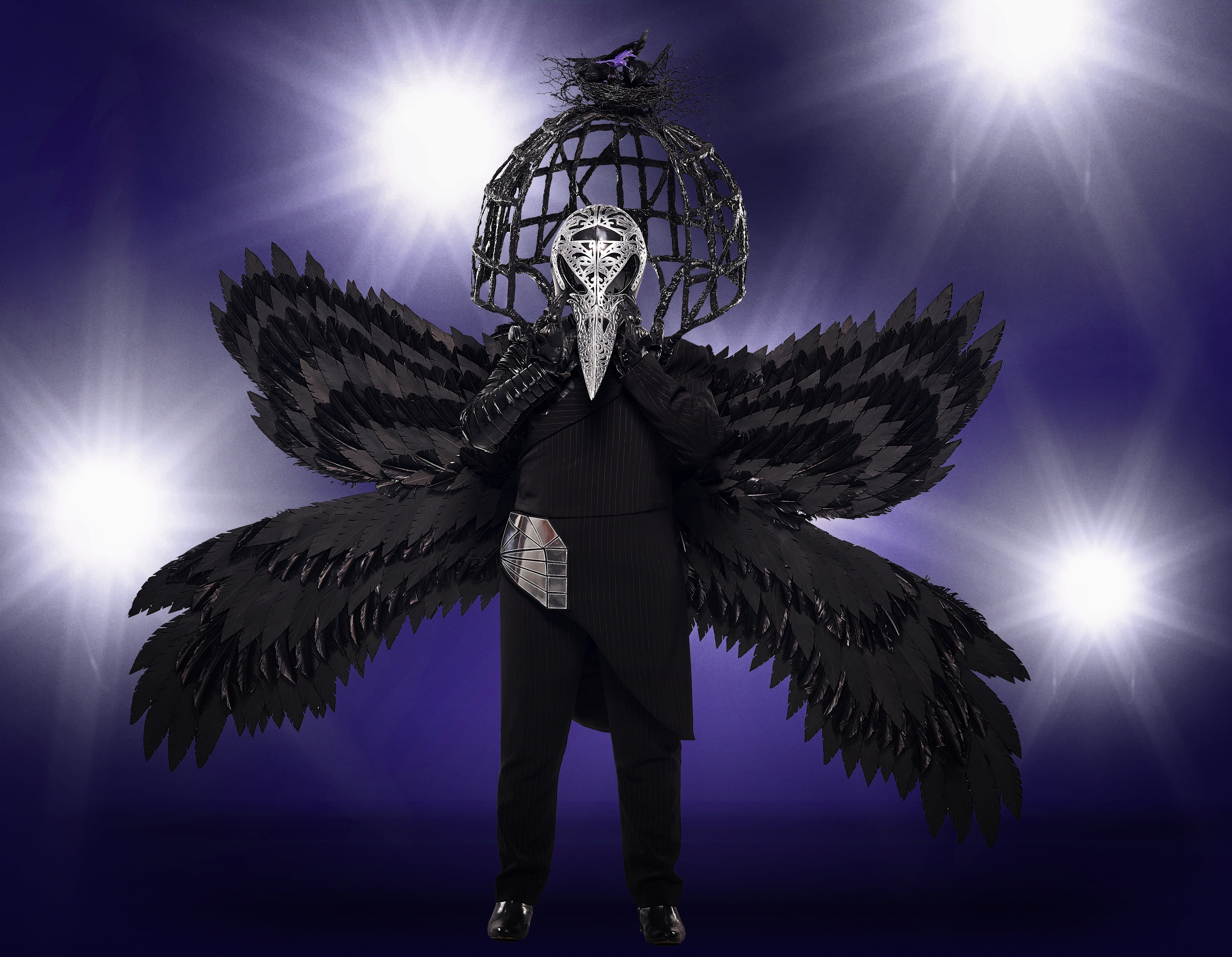 Raven | The Masked Singer Wiki | Fandom