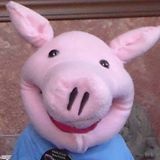 Samham