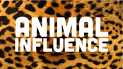 Animal Influence