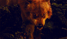 Werewolves
