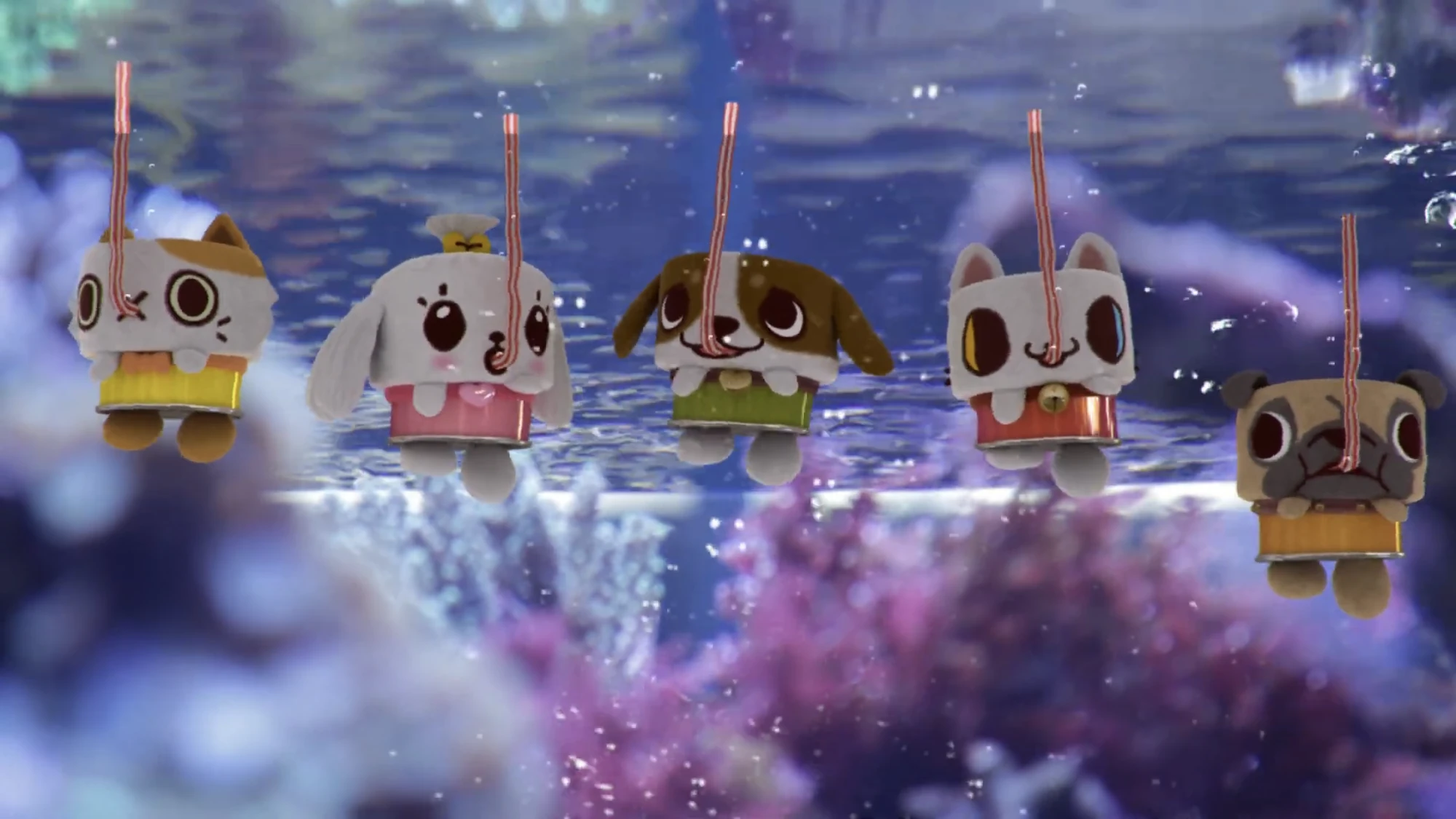 Splash Into The Aquarium Canimals Wiki Fandom