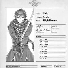 Shin The New Gate Wiki Fandom