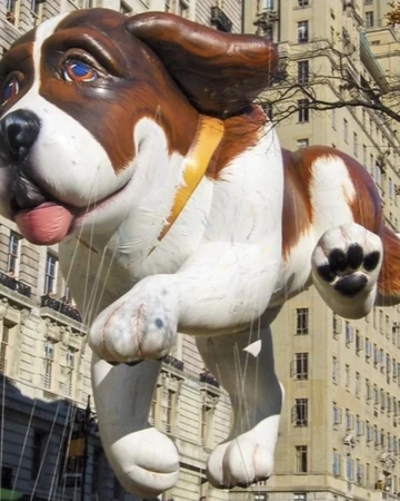 what kinda dog is beethoven