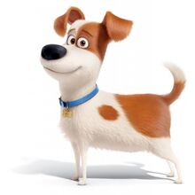 Get Wallpaper Max The Secret Life Of Pets Gallery The New Parody Wiki Fandom For iPhone