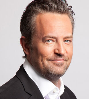 Matthew Perry | The Odd Couple Wiki | Fandom
