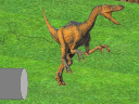 Velociraptor