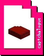 Punch card shunt
