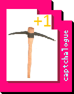 Plusonepickaxeofskeletonslaying