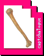 Bonecard