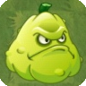 PVZIAT Squash